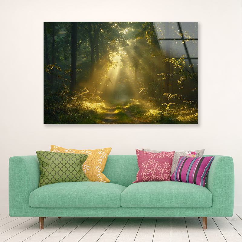 Sun Shining With Trees in a Forest Acrylic Glass Print Tempered Glass Wall Art 100% Made in Australia Ready to Hang - Bella Home Decor