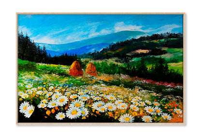 Meadow Of Daisies Art Work Oil Painting Limited Edition High Quality Print Canvas Box Framed Natural