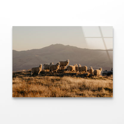 Herd Of Sheeps on With Mountain Acrylic Glass Print Tempered Glass Wall Art 100% Made in Australia Ready to Hang - Bella Home Decor