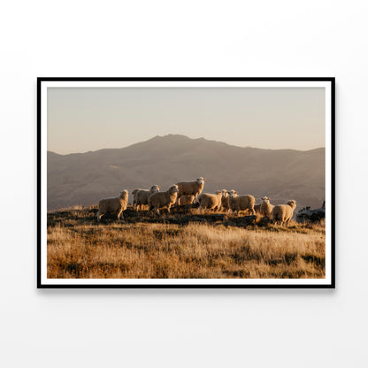 Herd Of Sheeps on With Mountain Home Decor Premium Quality Poster Print Choose Your Sizes - Bella Home Decor