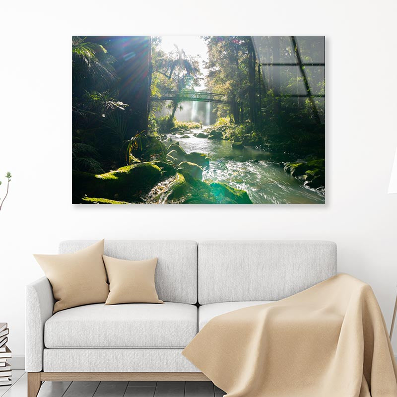 Misty Dark Dense Bush Lining Hatea River and Whangarei Fall Acrylic Glass Print Tempered Glass Wall Art 100% Made in Australia Ready to Hang - Bella Home Decor