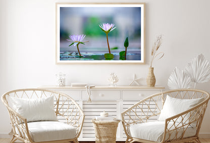 Lotus with Yellow Pollen on Blue Surface of Pond Home Decor Premium Quality Poster Print Choose Your Sizes - Bella Home Decor