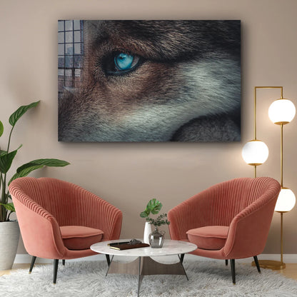 Blue Eyes Wolf Closeup UV Direct Aluminum Print Australian Made Quality