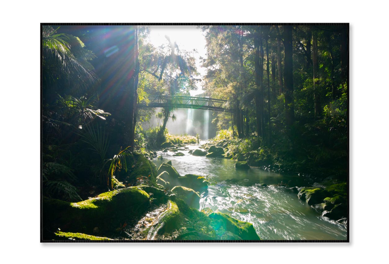 Misty Dark Dense Bush Lining Hatea River and Whangarei Fall Home Decor Premium Quality Poster Print Choose Your Sizes - Bella Home Decor