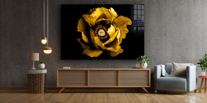 Yellow Flower Closeup UV Direct Aluminum Print Australian Made Quality