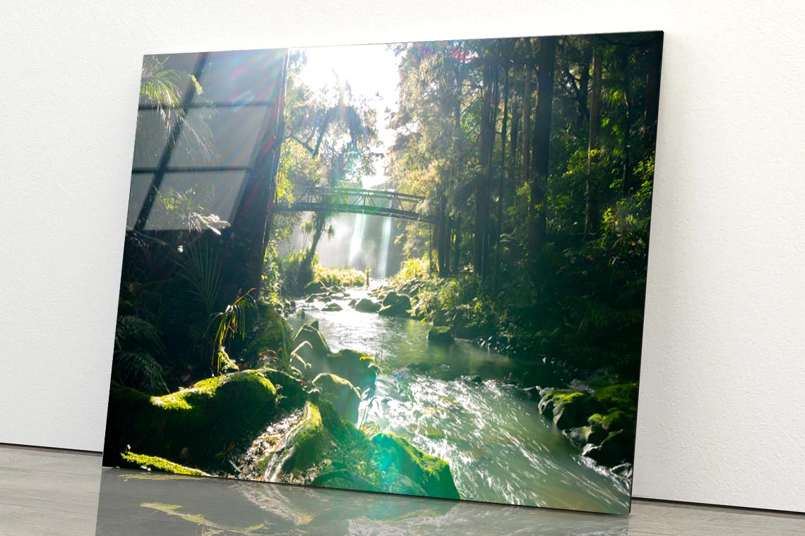Misty Dark Dense Bush Lining Hatea River and Whangarei Fall Acrylic Glass Print Tempered Glass Wall Art 100% Made in Australia Ready to Hang - Bella Home Decor