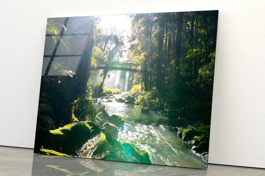 Misty Dark Dense Bush Lining Hatea River and Whangarei Fall Acrylic Glass Print Tempered Glass Wall Art 100% Made in Australia Ready to Hang - Bella Home Decor