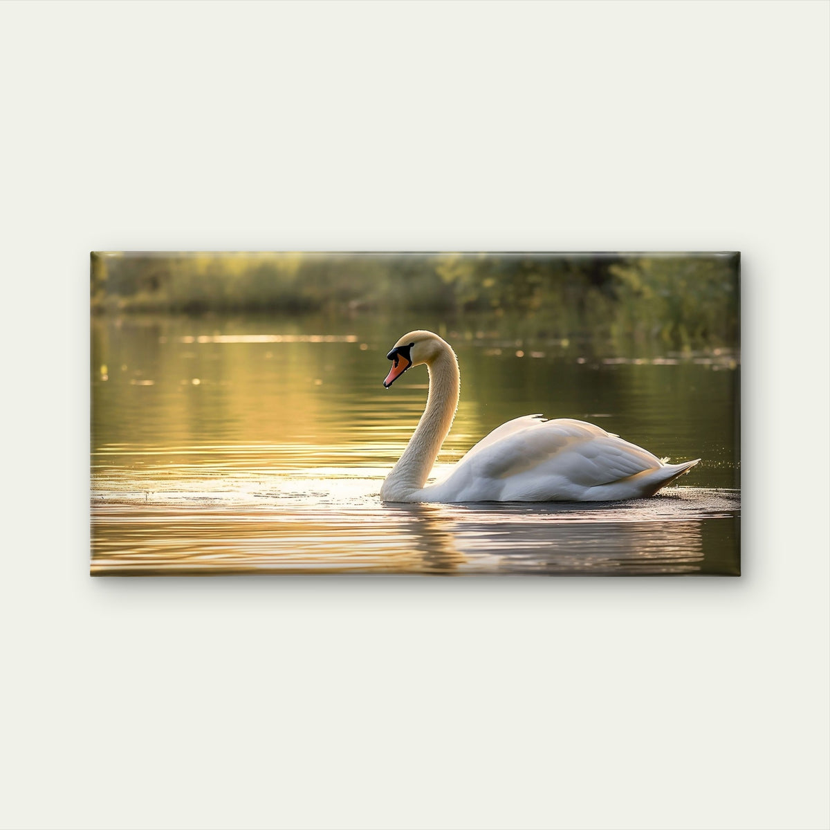Waterfowl Swan Swimming At Sunset Wall Art Canvas Office Home Framed 120x60cm