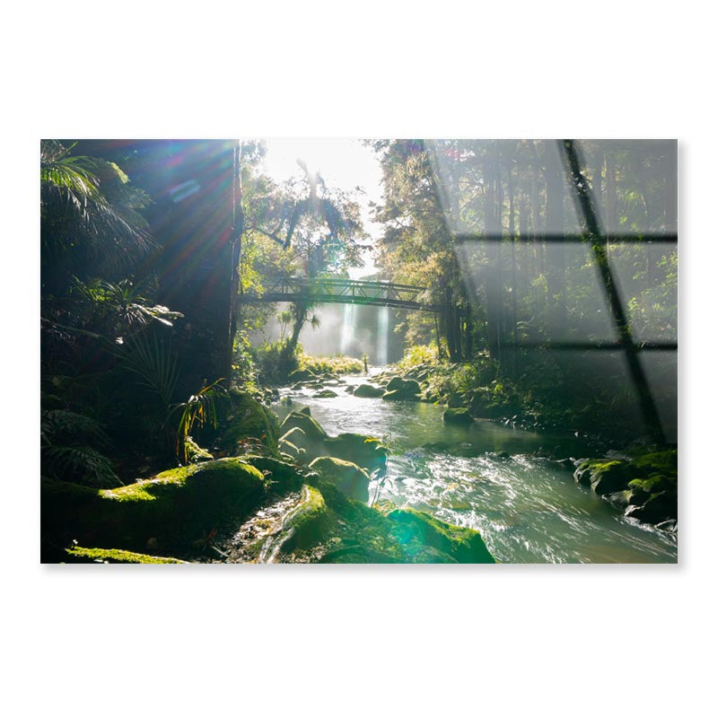 Misty Dark Dense Bush Lining Hatea River and Whangarei Fall Acrylic Glass Print Tempered Glass Wall Art 100% Made in Australia Ready to Hang - Bella Home Decor