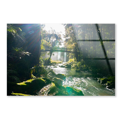 Misty Dark Dense Bush Lining Hatea River and Whangarei Fall Acrylic Glass Print Tempered Glass Wall Art 100% Made in Australia Ready to Hang - Bella Home Decor