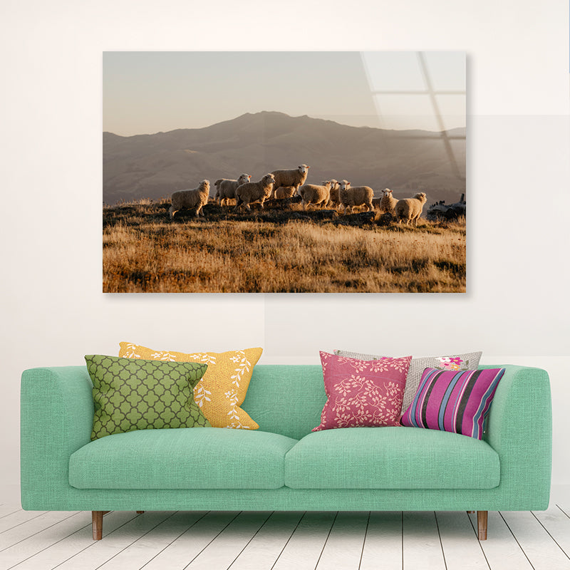 Herd Of Sheeps on With Mountain Acrylic Glass Print Tempered Glass Wall Art 100% Made in Australia Ready to Hang - Bella Home Decor