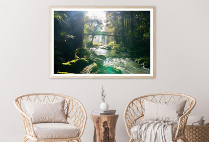 Misty Dark Dense Bush Lining Hatea River and Whangarei Fall Home Decor Premium Quality Poster Print Choose Your Sizes - Bella Home Decor