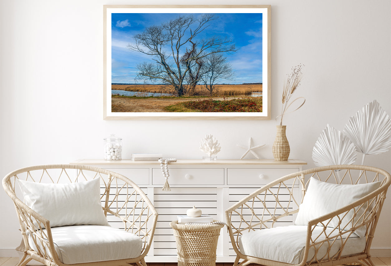 A Couple of Trees Grows In a Field Home Decor Premium Quality Poster Print Choose Your Sizes