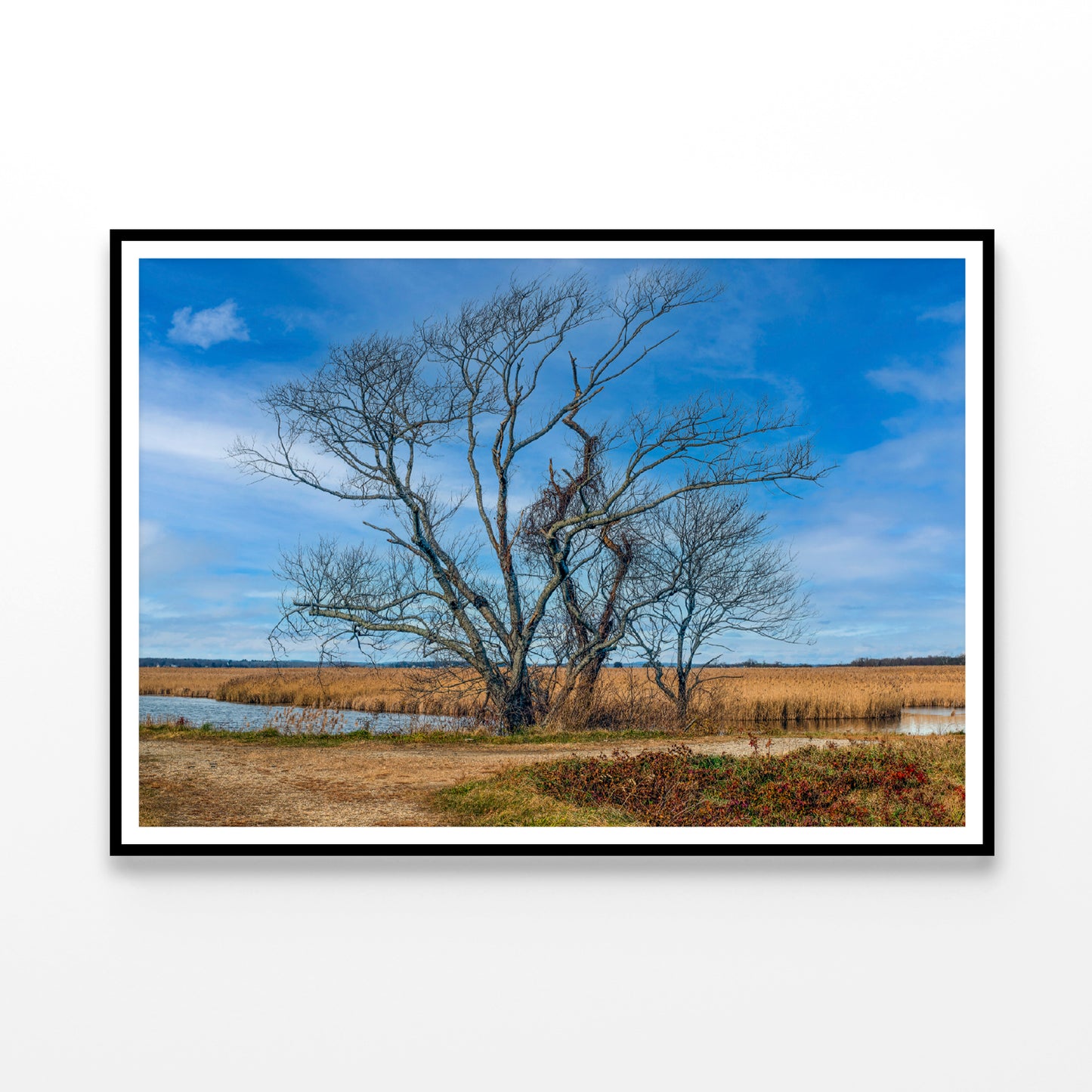 A Couple of Trees Grows In a Field Home Decor Premium Quality Poster Print Choose Your Sizes