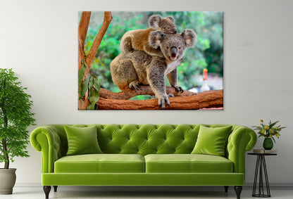 Mother koala with baby on tree Wall Art Decor 100% Australian Made - Bella Home Decor