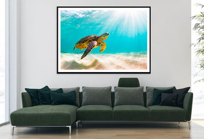 Turtle Swimming in The Ocean with Sun Shining Home Decor Premium Quality Poster Print Choose Your Sizes