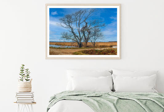 A Couple of Trees Grows In a Field Home Decor Premium Quality Poster Print Choose Your Sizes