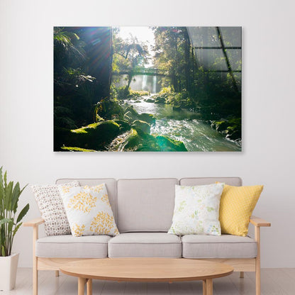 Misty Dark Dense Bush Lining Hatea River and Whangarei Fall Acrylic Glass Print Tempered Glass Wall Art 100% Made in Australia Ready to Hang - Bella Home Decor
