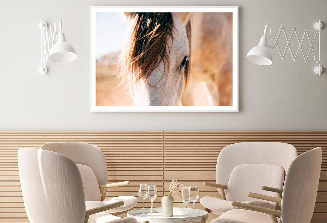 Close Up of a Horse's Head with A Sky Background Home Decor Premium Quality Poster Print Choose Your Sizes