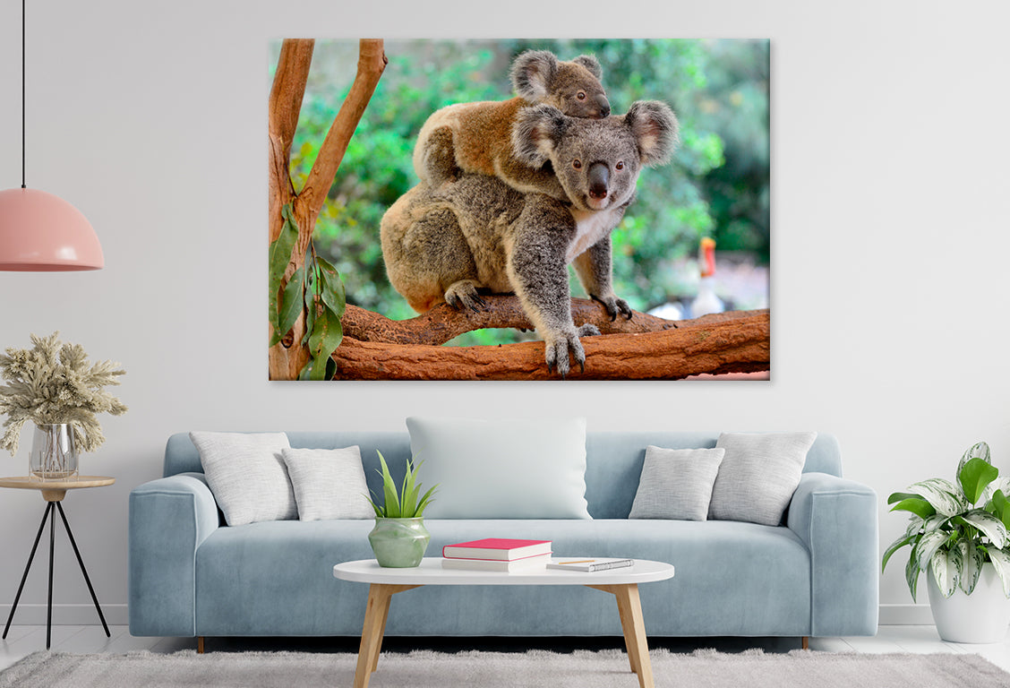 Mother koala with baby on tree Wall Art Decor 100% Australian Made - Bella Home Decor