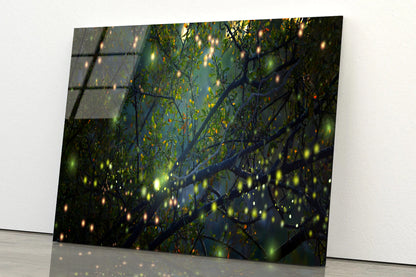 Group of Fireflies on Tree Branch Acrylic Glass Print Tempered Glass Wall Art 100% Made in Australia Ready to Hang - Bella Home Decor
