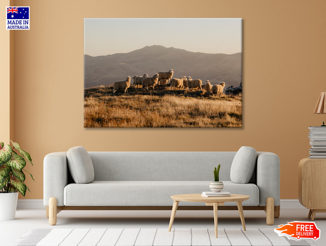 Herd Of Sheeps on With Mountain Print 100% Australian Made - Bella Home Decor