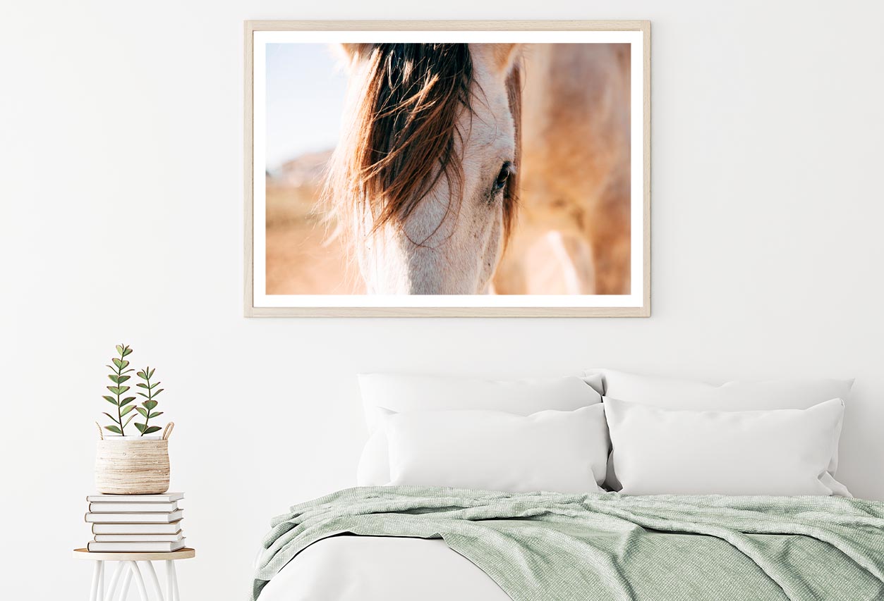 Close Up of a Horse's Head with A Sky Background Home Decor Premium Quality Poster Print Choose Your Sizes