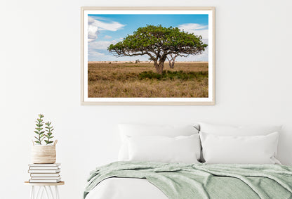 Hills and Trees under a Cloudy Sky in Cyprus Home Decor Premium Quality Poster Print Choose Your Sizes