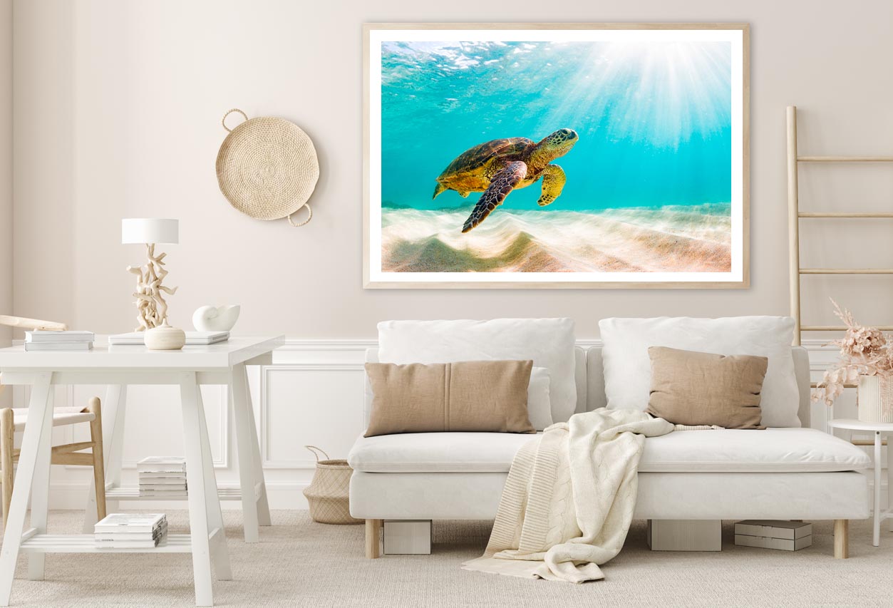 Turtle Swimming in The Ocean with Sun Shining Home Decor Premium Quality Poster Print Choose Your Sizes