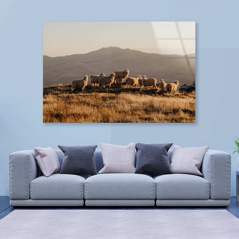 Herd Of Sheeps on With Mountain Acrylic Glass Print Tempered Glass Wall Art 100% Made in Australia Ready to Hang - Bella Home Decor
