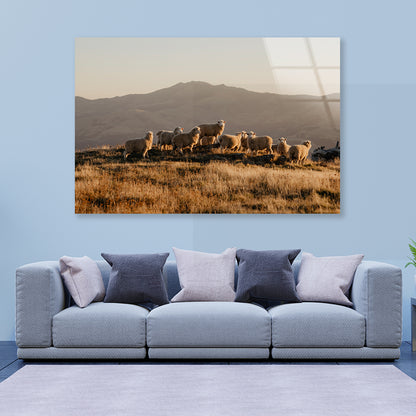 Herd Of Sheeps on With Mountain Acrylic Glass Print Tempered Glass Wall Art 100% Made in Australia Ready to Hang - Bella Home Decor