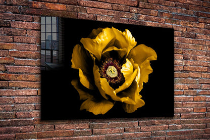 Yellow Flower Closeup UV Direct Aluminum Print Australian Made Quality