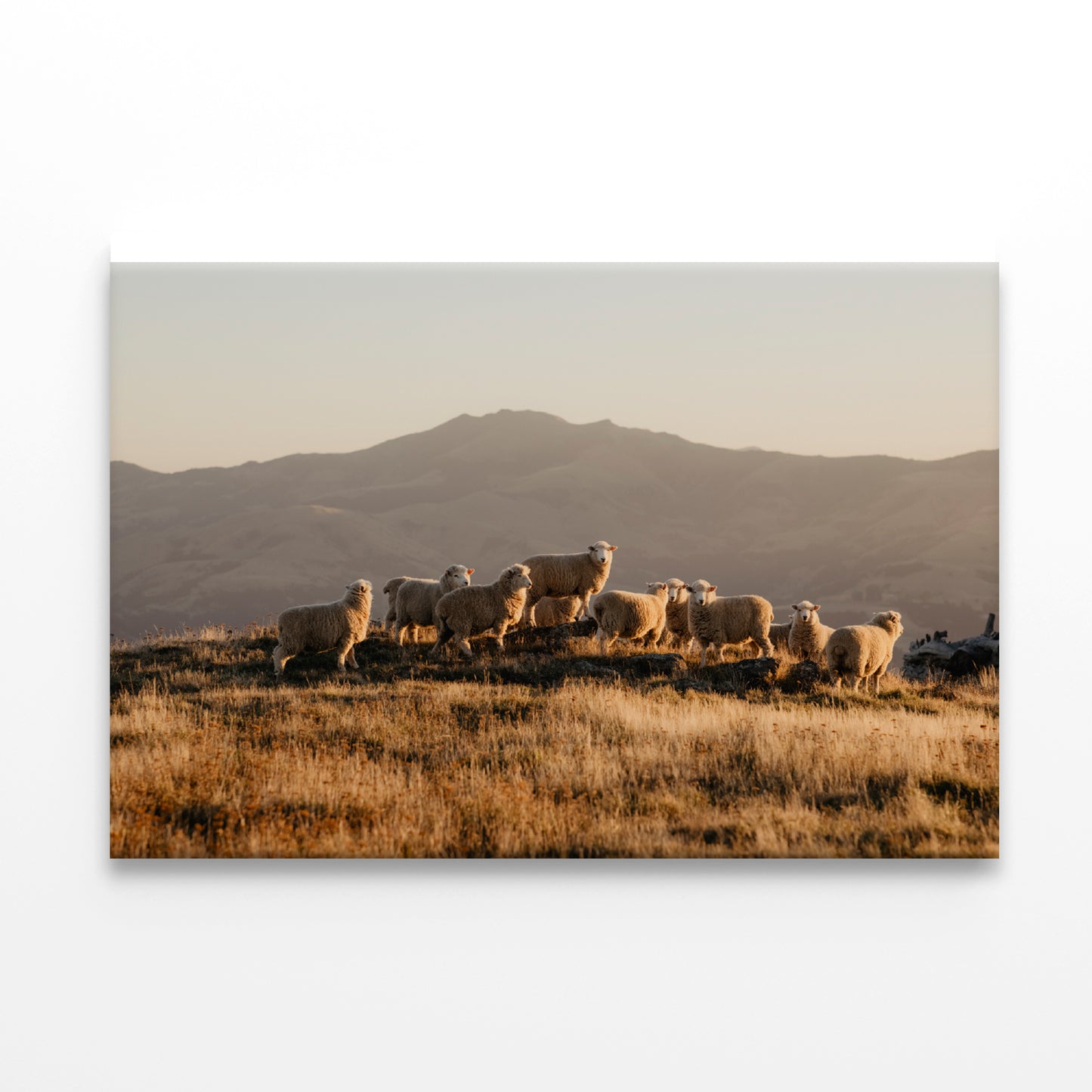 Herd Of Sheeps on With Mountain Print 100% Australian Made - Bella Home Decor