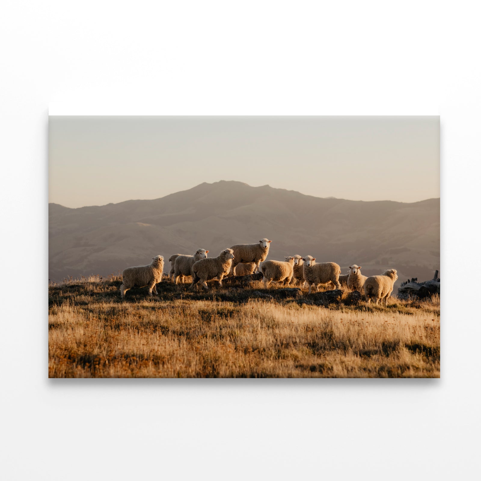 Herd Of Sheeps on With Mountain Print 100% Australian Made - Bella Home Decor