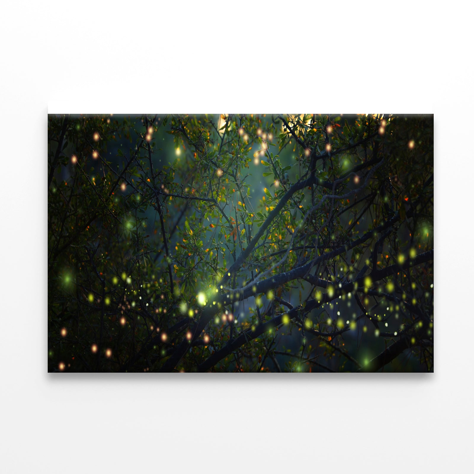 Group of Fireflies on Tree Branch Print 100% Australian Made - Bella Home Decor