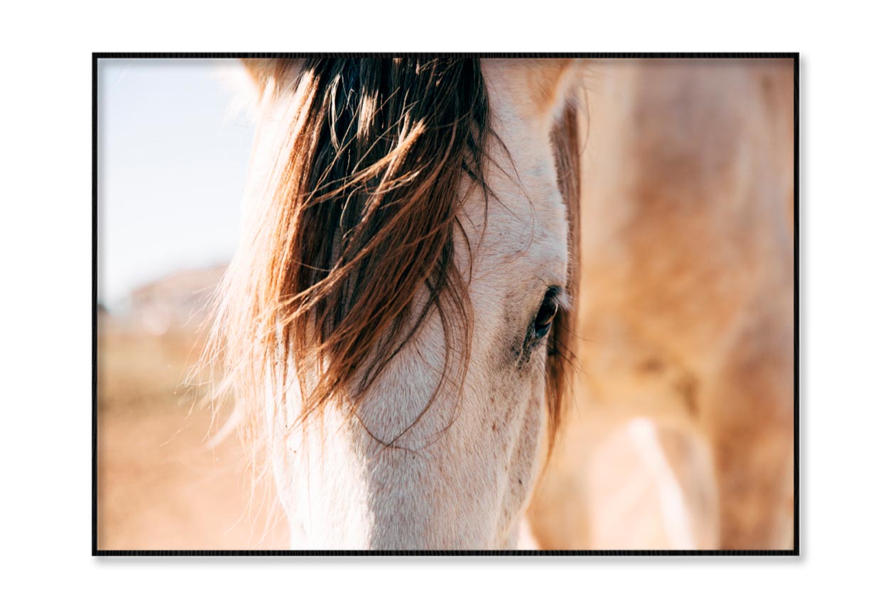 Close Up of a Horse's Head with A Sky Background Home Decor Premium Quality Poster Print Choose Your Sizes