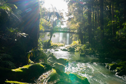Misty Dark Dense Bush Lining Hatea River and Whangarei Fall Acrylic Glass Print Tempered Glass Wall Art 100% Made in Australia Ready to Hang - Bella Home Decor