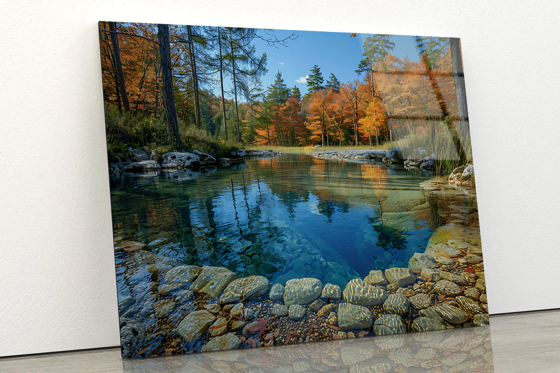 Autumn Trees Reflected In Water Acrylic Glass Print Tempered Glass Wall Art 100% Made in Australia Ready to Hang