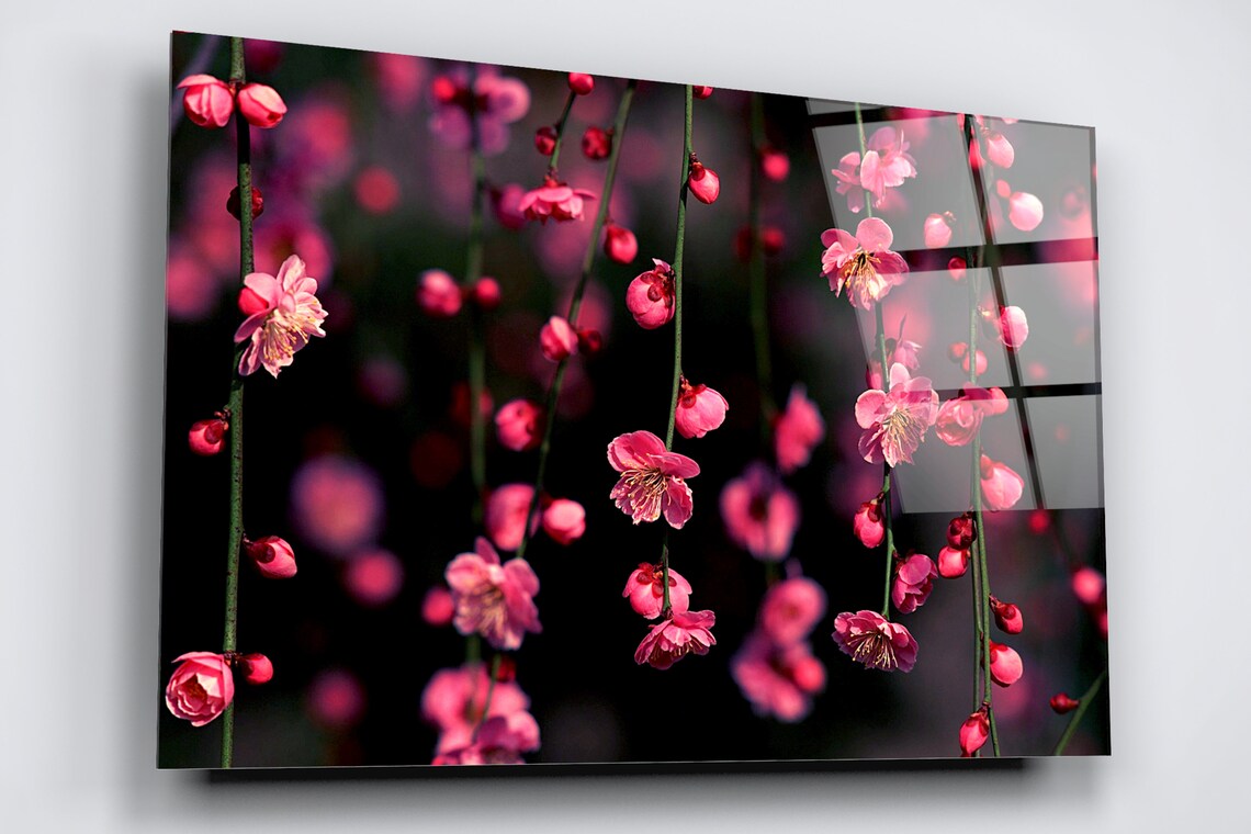 Cherry Blossom Flower Acrylic Glass Print Tempered Glass Wall Art 100% Made in Australia Ready to Hang