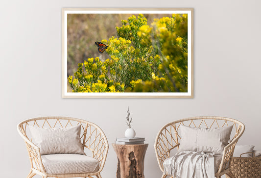 View of a Monarch Butterfly Resting On a Plant Home Decor Premium Quality Poster Print Choose Your Sizes