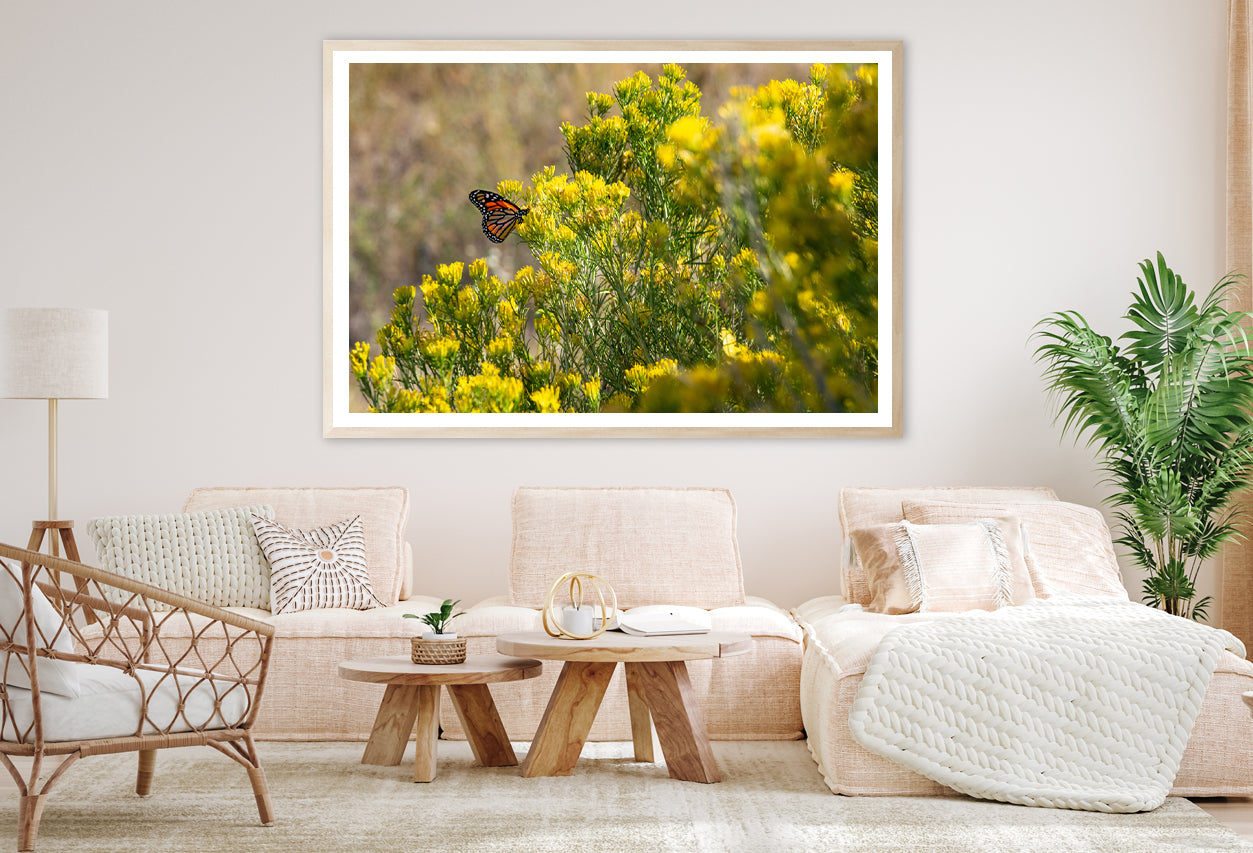 View of a Monarch Butterfly Resting On a Plant Home Decor Premium Quality Poster Print Choose Your Sizes