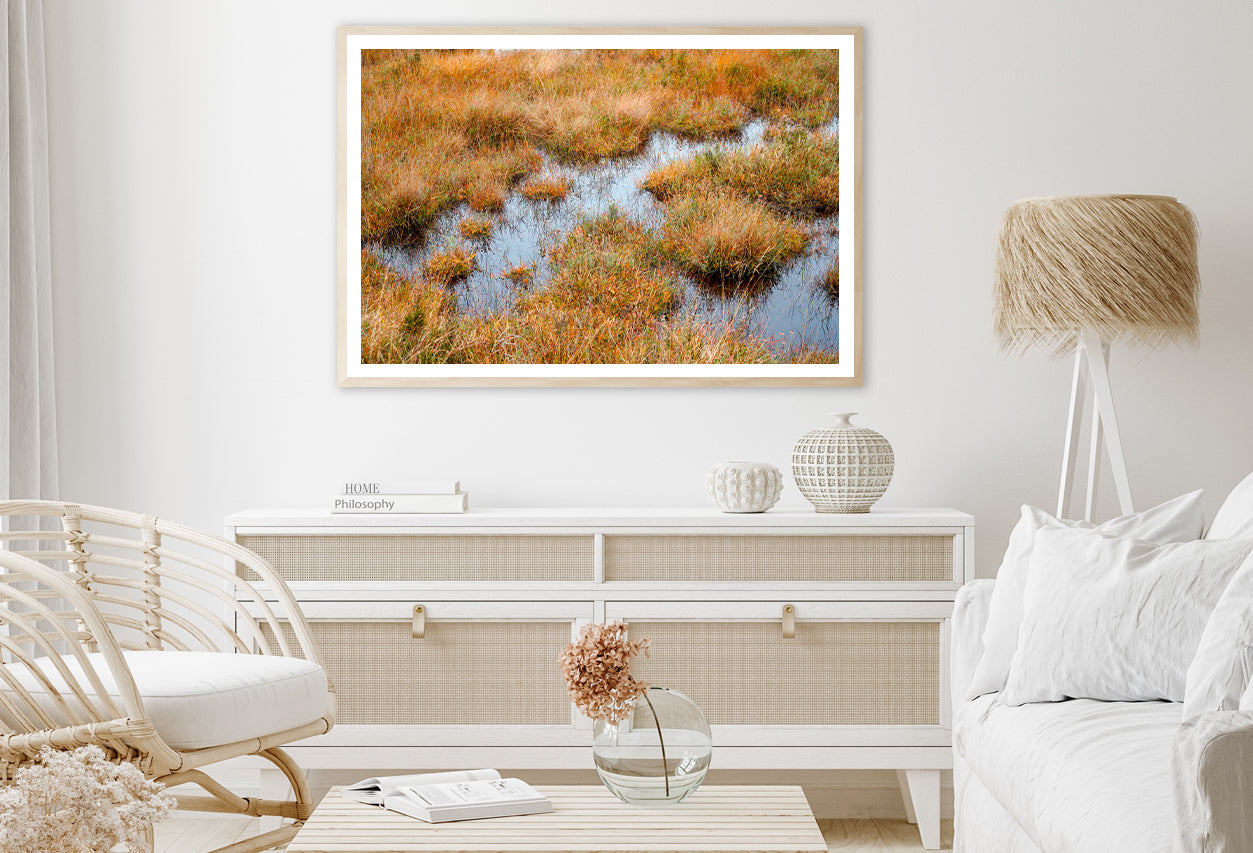 Waterlogged Grassland in the summer Home Decor Premium Quality Poster Print Choose Your Sizes