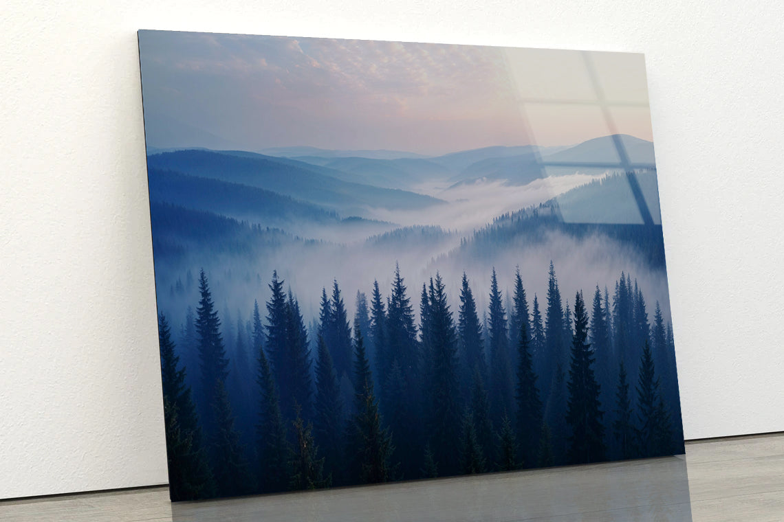 Pine Trees Forest with Mountains Acrylic Glass Print Tempered Glass Wall Art 100% Made in Australia Ready to Hang - Bella Home Decor