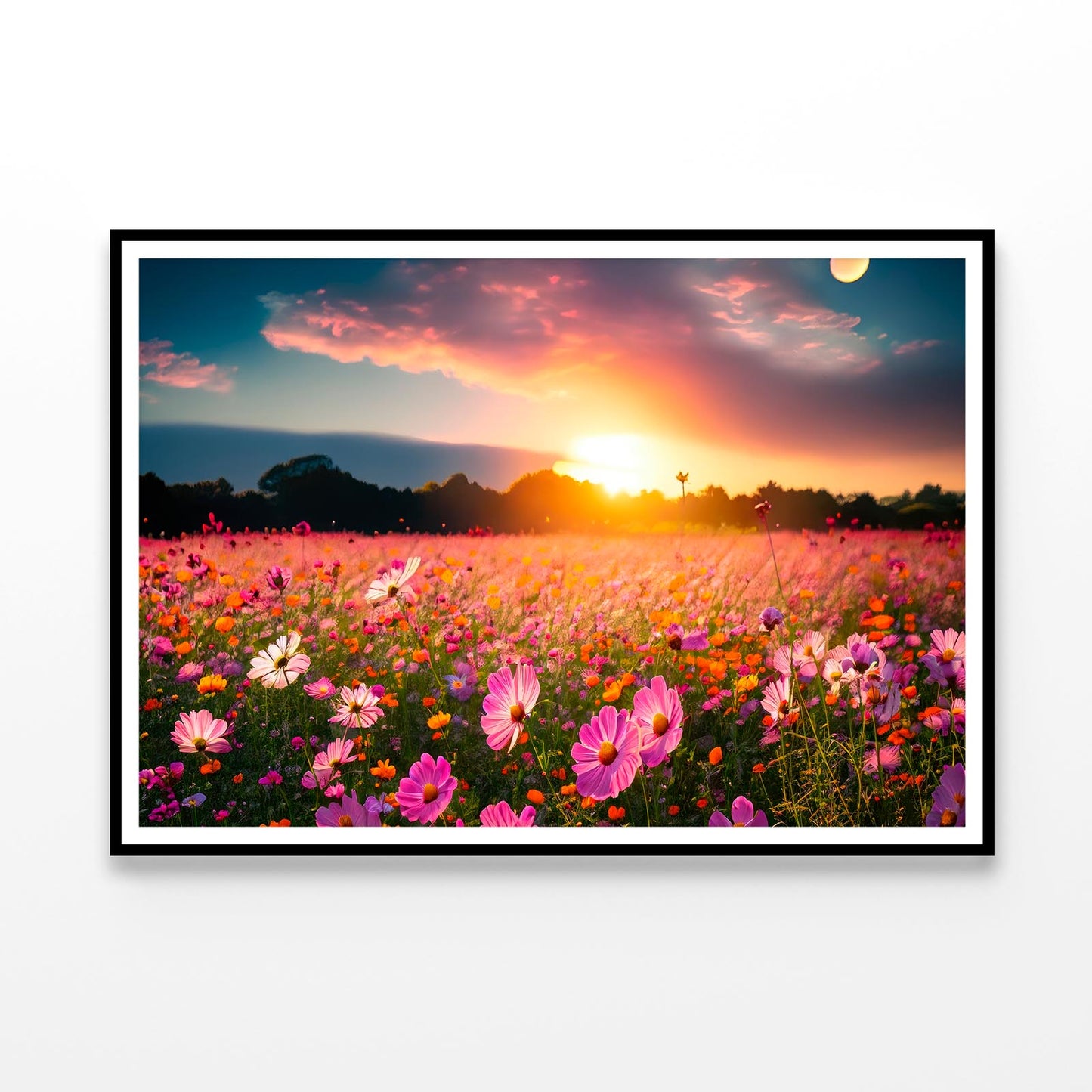 Beautiful and Amazing Cosmos Flower Field in Sunset Home Decor Premium Quality Poster Print Choose Your Sizes