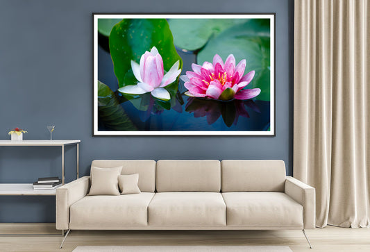 A Group of Pink Flowers Blooming On a Lily Pad Home Decor Premium Quality Poster Print Choose Your Sizes