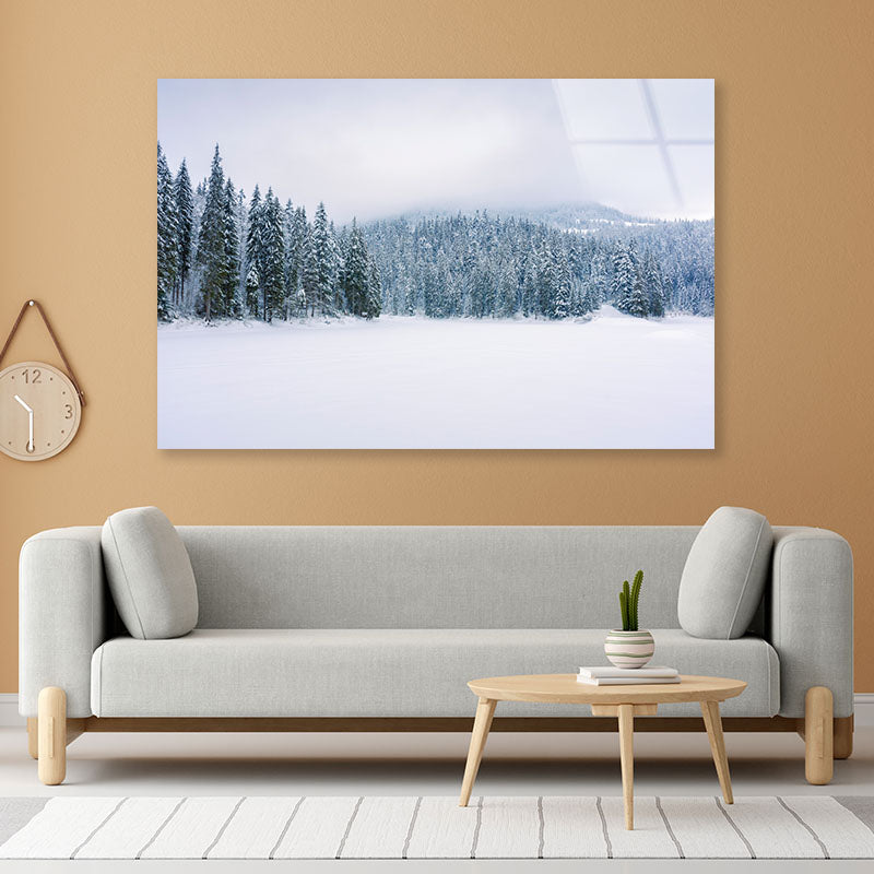 Coniferous Forest on Snow Acrylic Glass Print Tempered Glass Wall Art 100% Made in Australia Ready to Hang