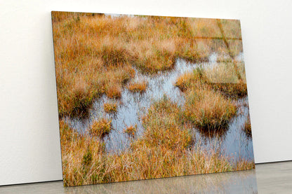 Waterlogged Grassland in the summer Acrylic Glass Print Tempered Glass Wall Art 100% Made in Australia Ready to Hang