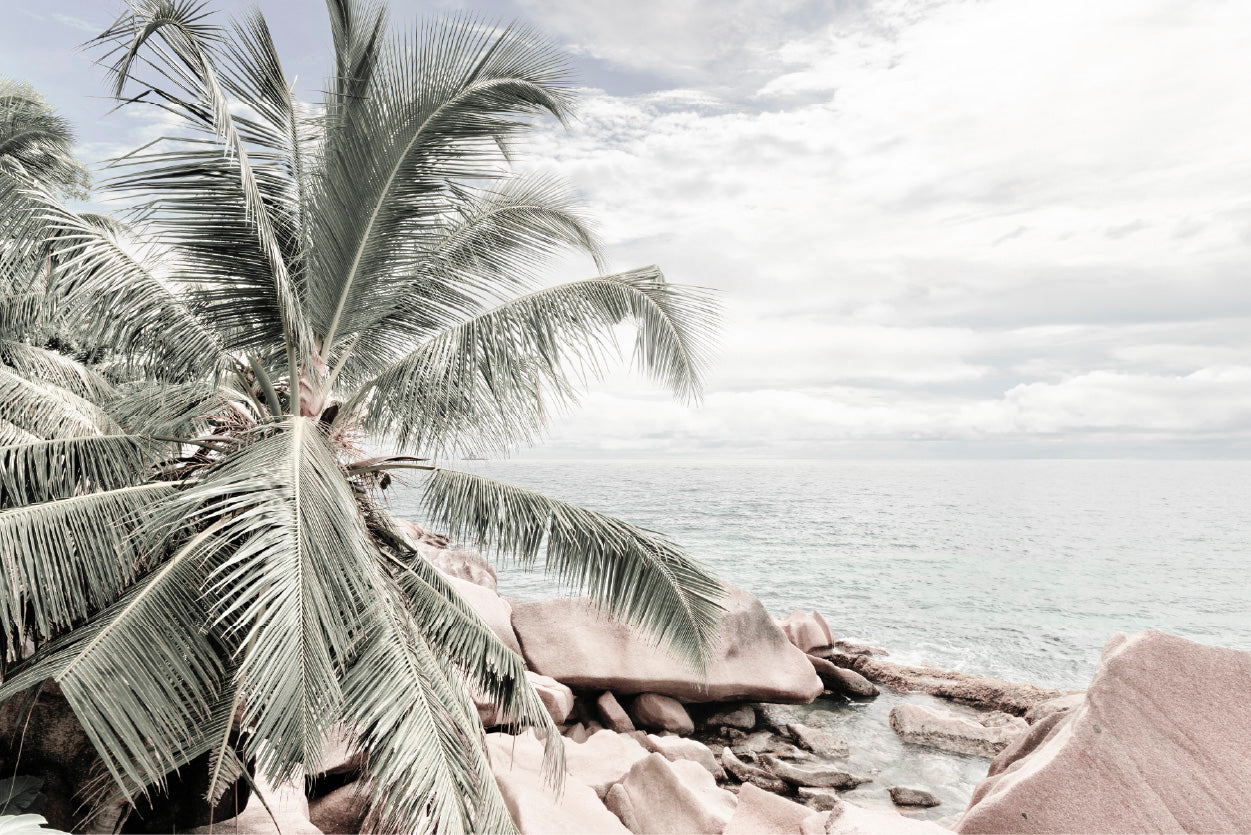 Palm Tree & Rocks near Sea View Photograph Glass Framed Wall Art, Ready to Hang Quality Print