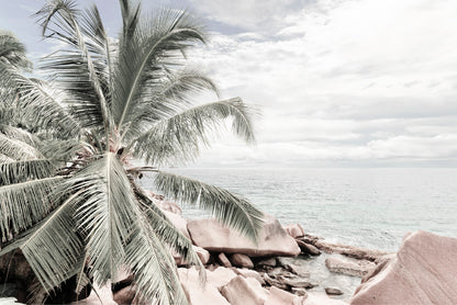 Palm Tree & Rocks near Sea View Photograph Glass Framed Wall Art, Ready to Hang Quality Print