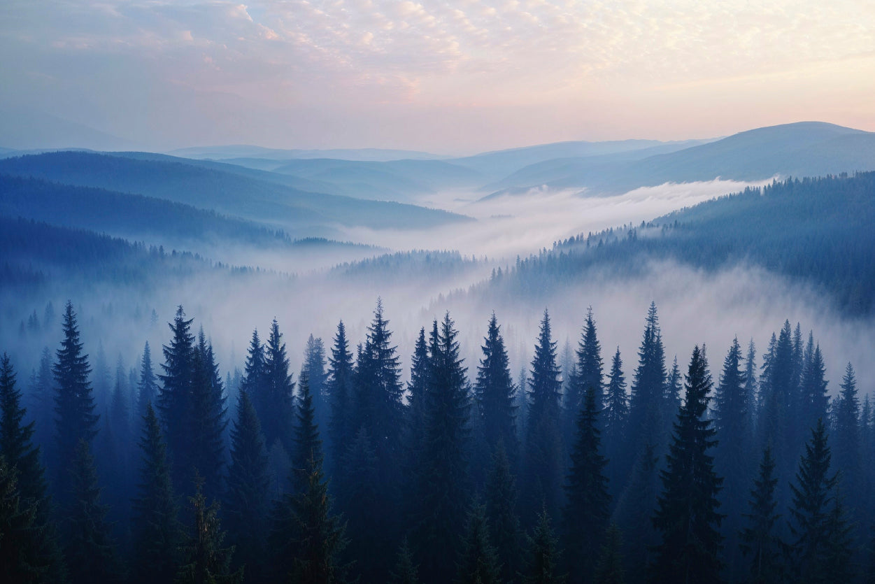 Pine Trees Forest with Mountains Home Decor Premium Quality Poster Print Choose Your Sizes - Bella Home Decor